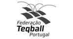 homepage-logos-clientes-federacao-teqball